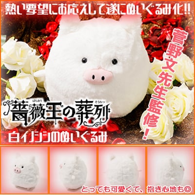 「『薔薇王の葬列』白イノシシのぬいぐるみ」告知ビジュアル