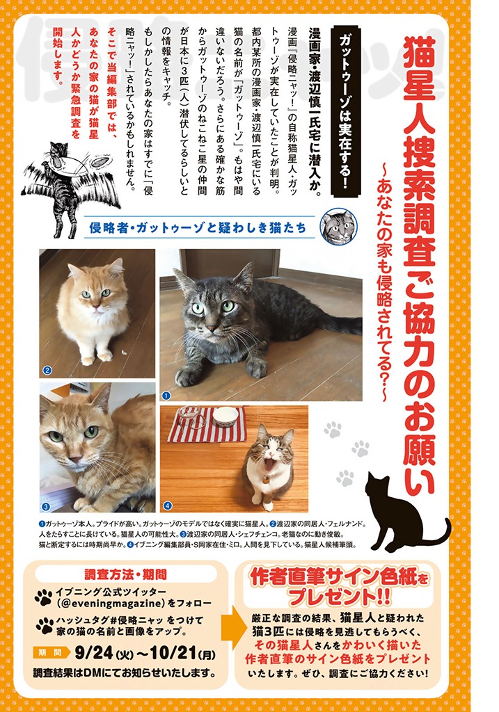「侵略ニャッ！」Twitterキャンペーン