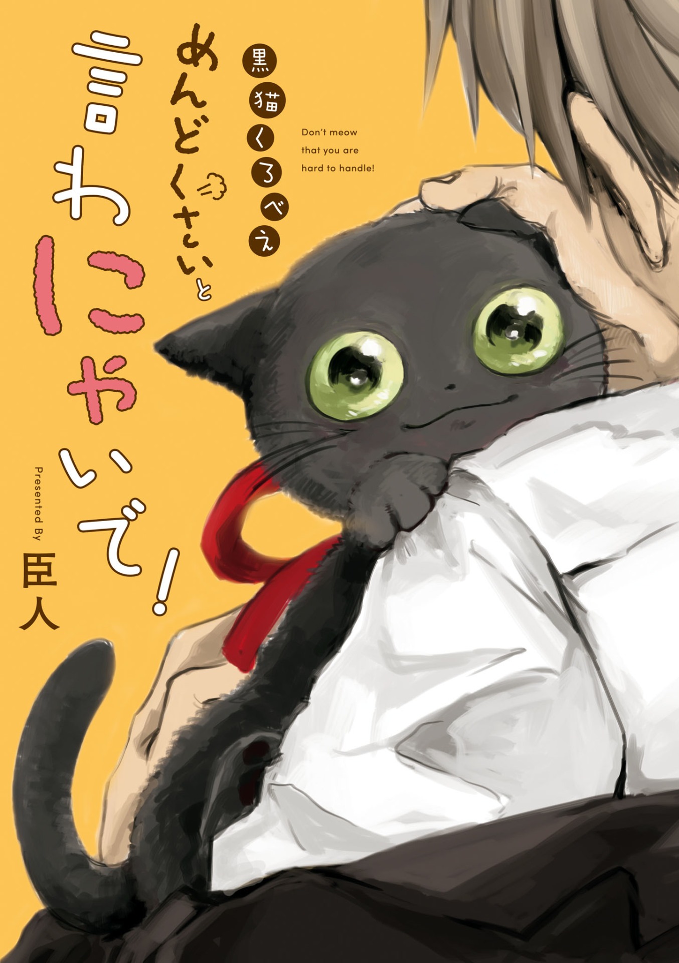 「黒猫くろべえ めんどくさいと言わにゃいで！」