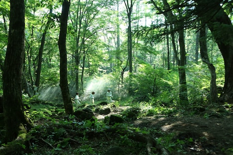 映画「約束のネバーランド」のビジュアル。