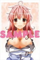 COMIC ZIN特典のサンプル。