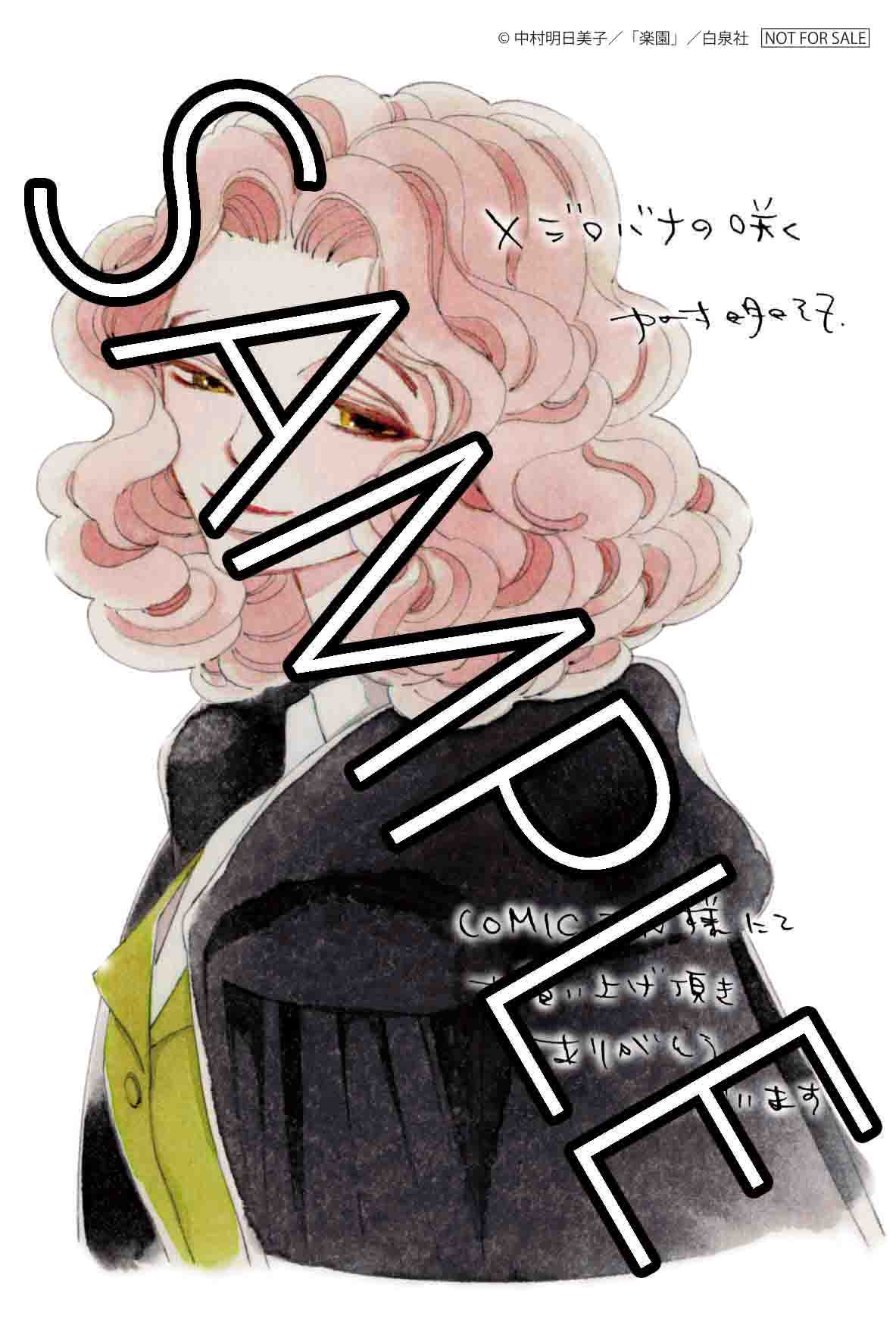 COMIC ZIN特典