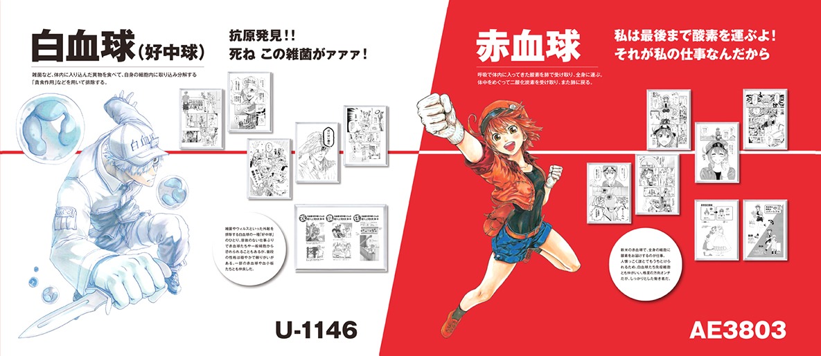「細胞キャラクターズ」