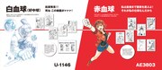 「細胞キャラクターズ」