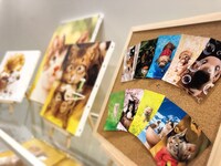 「村松誠 犬猫イラスト展」の様子。