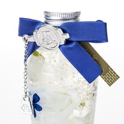 「怪盗キッドモデル」