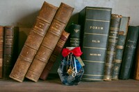 「江⼾川コナンモデル」