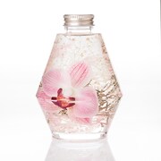 「⽑利蘭モデル」