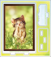 アクリルスタンド