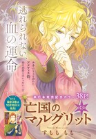 センターカラーを飾った「亡国のマルグリット」扉ページ。