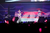 藍原ことみ、高野麻美による「クレイジークレイジー」。