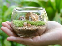 ワークショップイメージ。