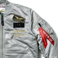 地球連邦軍モデル