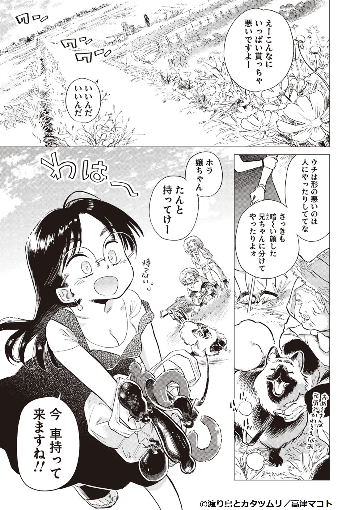 「渡り鳥とカタツムリ」より