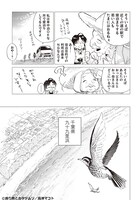 「渡り鳥とカタツムリ」より