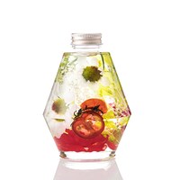 イタリアモデル