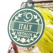 イタリアモデル