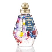 アメリカモデル