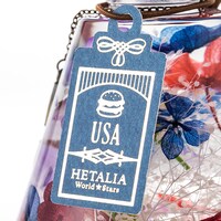 アメリカモデル