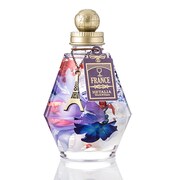 フランスモデル