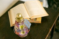 アメリカモデル