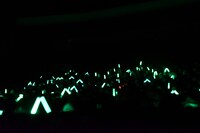 応援上映の様子。