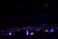 応援上映の様子。