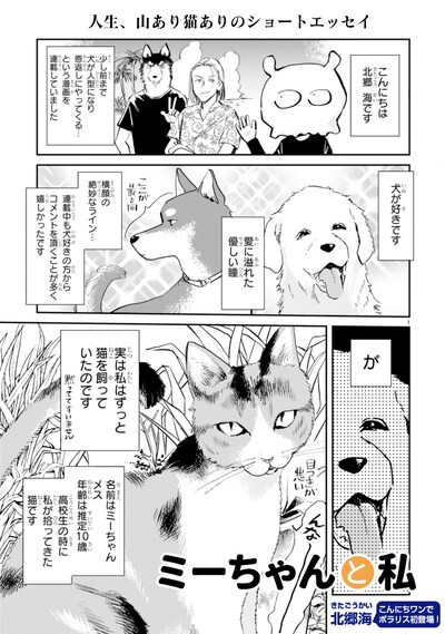 「ミーちゃんと私」より。
