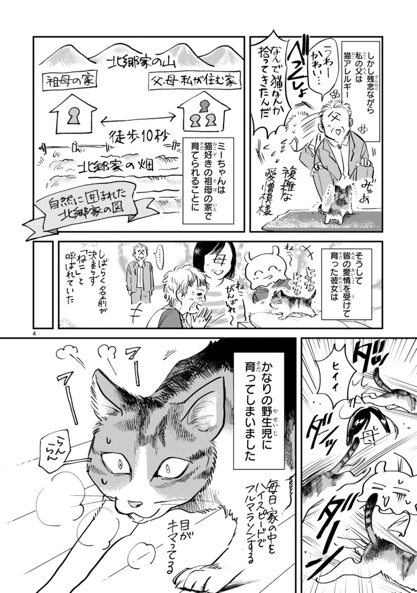 「ミーちゃんと私」より。