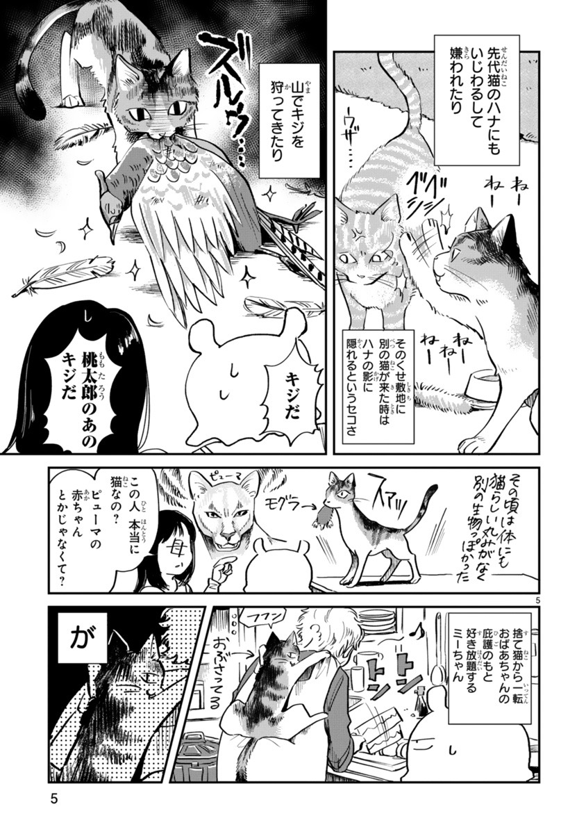 「ミーちゃんと私」より。