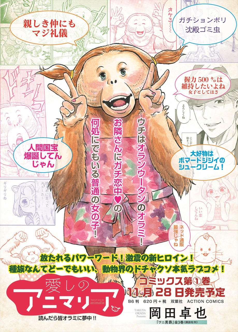 「愛しのアニマリア」1巻の告知画像。