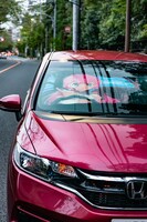 「ぼくたちは勉強ができない！真冬先生のドライビングサンシェード」使用イメージ