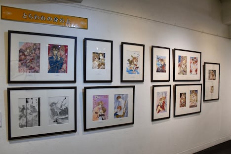 「~デビュー25周年記念~樋野まつり原画展」より。