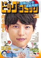 ビッグコミック22号