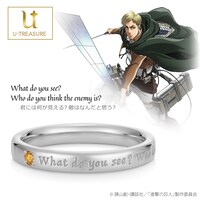 「【進撃の巨人】メッセージリング エルヴィン シルバー」