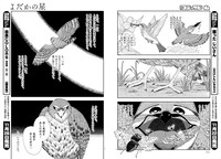 「よだかの星」より。