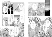 「よだかの星」より。