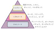 「コードギアス オードパルファム ルルーシュ」の香りの説明。
