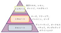 「コードギアス オードパルファム ルルーシュ」の香りの説明。