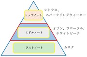 「コードギアス オードパルファム スザク」の香りの説明。