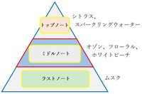 「コードギアス オードパルファム スザク」の香りの説明。