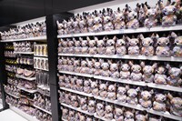 ポケモンセンターシブヤの店頭。