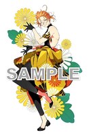 華錦菊丸（イラスト：キナコ）