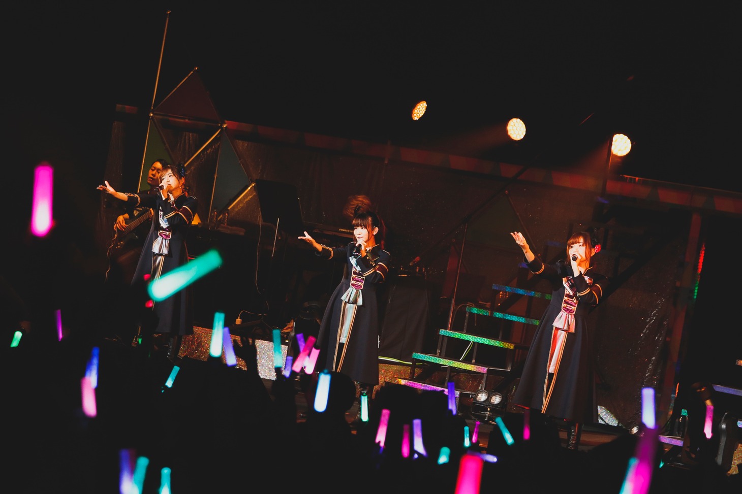 ステラマリス