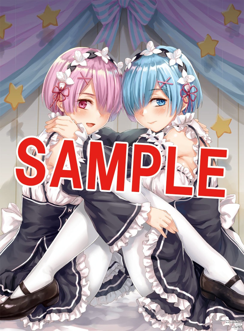 付録のB2ポスター。