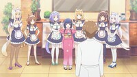 TVアニメ「ネコぱら」PVより。
