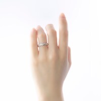 調査兵団をイメージした指輪の使用イメージ。