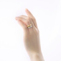 調査兵団をイメージした指輪の使用イメージ。