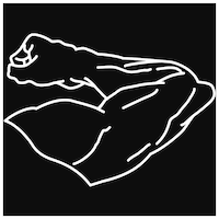 パーカーのイラスト。