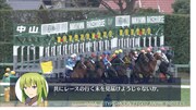 ハイライト動画より。